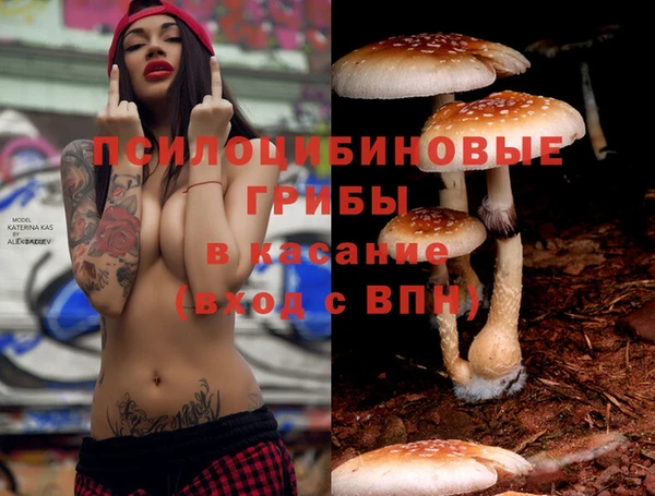 бошки Беломорск