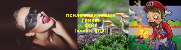 COCAINE Белокуриха